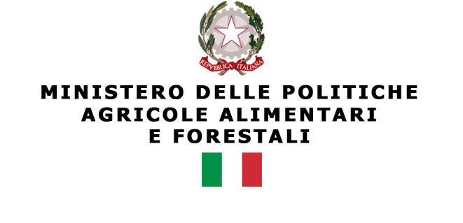 main-image