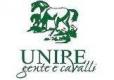 L'Unione Nazionale per l'Incremento delle Razze Equine (UNIRE)